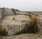 Plage de Pi&eacute;manson. Les clotures et les dunes.