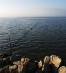 Etang de Fournelet. Chemins oubli&eacute;s.
