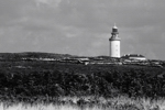 Cadoran (Kadoran), 2011. Murs dans la lande et Le Stiff.
