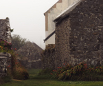 Kerlaouenn (Ker Laouenn), 2011. Fleurs oubliées.