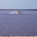 Salin de Giraud. Salines et barrages.