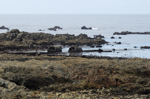 Port Doun (Porzh Don), 2011. Restes des chaudières et quille de l'Ashby.